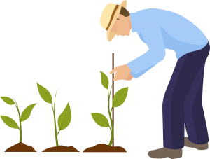 Réseau d'épiceries participatives Épis Québec