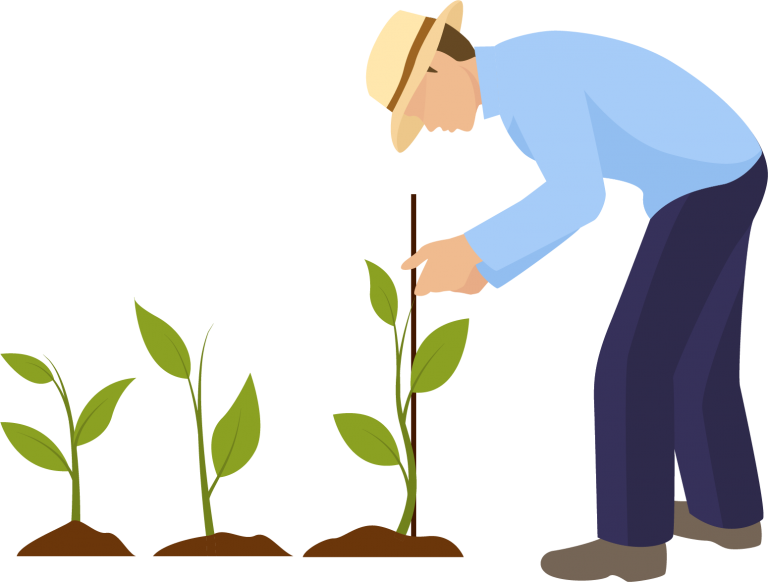 Réseau d'épiceries participatives Épis Québec