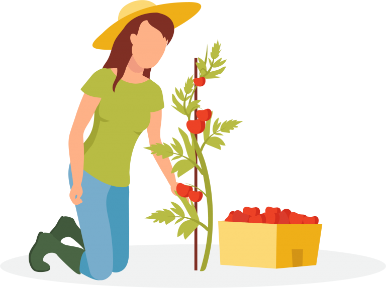 épicerie citoyenne au Québec